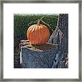 Pumpkin On A Dead Willow Framed Print