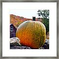 Pumpkin On Rock Wall Framed Print