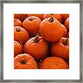 Pumpkin Parch 3 Framed Print