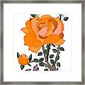 Pumpkin Rose And Violas Framed Print