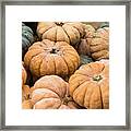 Pumpkins For Sale In Korean Market Framed Print