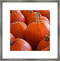 Pumpkins Framed Print