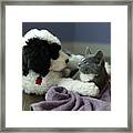 Puppy Love Framed Print