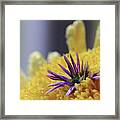 Purple And Yellow Floral Framed Print