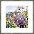 Purple Blossoms Monets Garden Watercolor Paintings Of France Framed Print