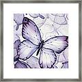 Purple Butterflies Framed Print
