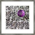 Purple Christmas Bauble Framed Print