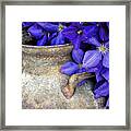 Purple Clematis And A Milk Can Framed Print