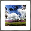 Purple Fields Framed Print