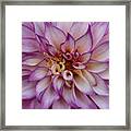 Purple Flames Framed Print