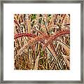 Purple Fountain Grass Abstract 2 By H H Photography Of Florida Framed Print