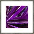 Purple Fronds Framed Print