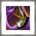 Purple Haze Framed Print