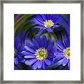 Purple In Nature Framed Print