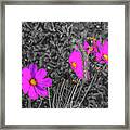 Purple Invasion Framed Print