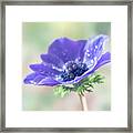 Purple Is The Pantone Color For 2018. Framed Print