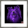 Purple Sheltie Dog Art 0207 - Bb Framed Print