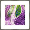 Purple Swan Framed Print