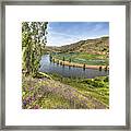 Purple Wildflowers On The Hillside Framed Print