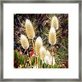 Pussy Tails Framed Print