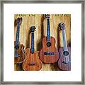 Put A Little Uke In Your Life Framed Print
