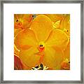 Put On A Happy Face Yellow Orchids Framed Print
