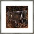 Putting Down Roots Framed Print