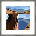 Quarter Horse Triptych Framed Print
