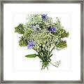 Queen Anne's Lace With Purple Flowers Framed Print