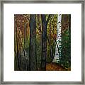 Quiet Autumn Woods Framed Print