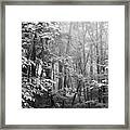 Quiet In The Mist Framed Print