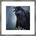 Quoth The Raven Framed Print