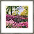 The Colors Of May Framed Print