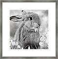 Rabbit Eating Flowers Framed Print