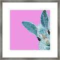 Rabbit Eyes Framed Print