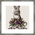 Rabbit In A Teacup Framed Print