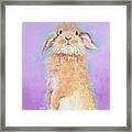 Rabbit Painting - Babu Framed Print