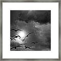 Racing The Wind Framed Print