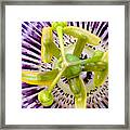 Radial Arms Framed Print