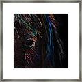 Rainbow Horse Eye Framed Print