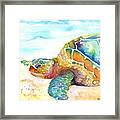 Rainbow Sea Turtle Framed Print