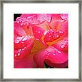 Rainbow Sorbet Raindrops Framed Print