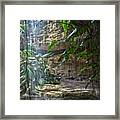 Rainforest Waterfall Framed Print
