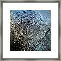 Rainy Day - Water Drops On Window Framed Print