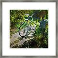 Raleio Bicycle Framed Print