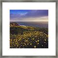 Rancho Palos Verdes Super Bloom Framed Print