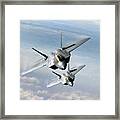 Raptor Element Framed Print