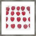 Raspberry Framed Print