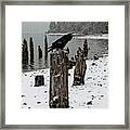 Raven Call Framed Print