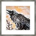 Raven Framed Print